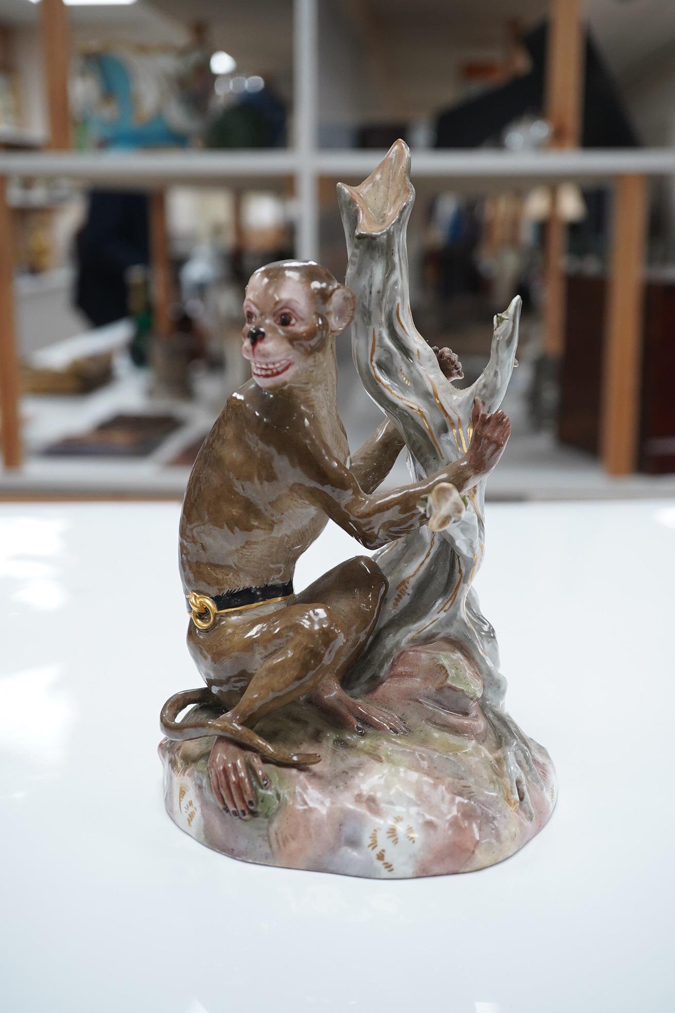 A 19th century Meissen painted porcelain model of a Rhesus Monkey, modelled by Johann Joachim Kaendler, number 1131, 19cm. Condition - damage to fingers and leaves